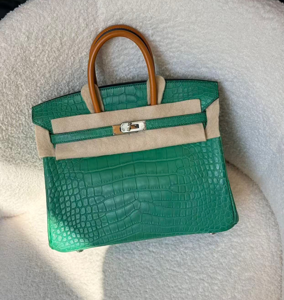 Hermes Birkin 25 cactus with natural butler handle matte alligator Palladium hardware