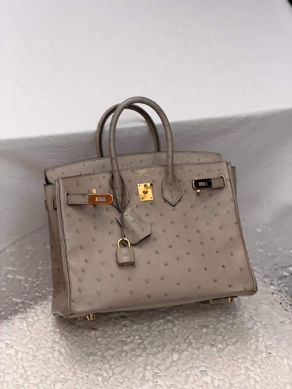 Hermes Birkin 25 Gris Tourterelle Ostrich Gold hardware