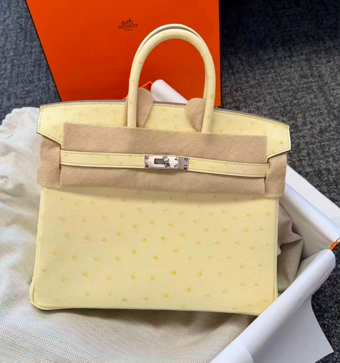 Hermes Birkin 25 Jaune Milton Ostrich Palladium hardware