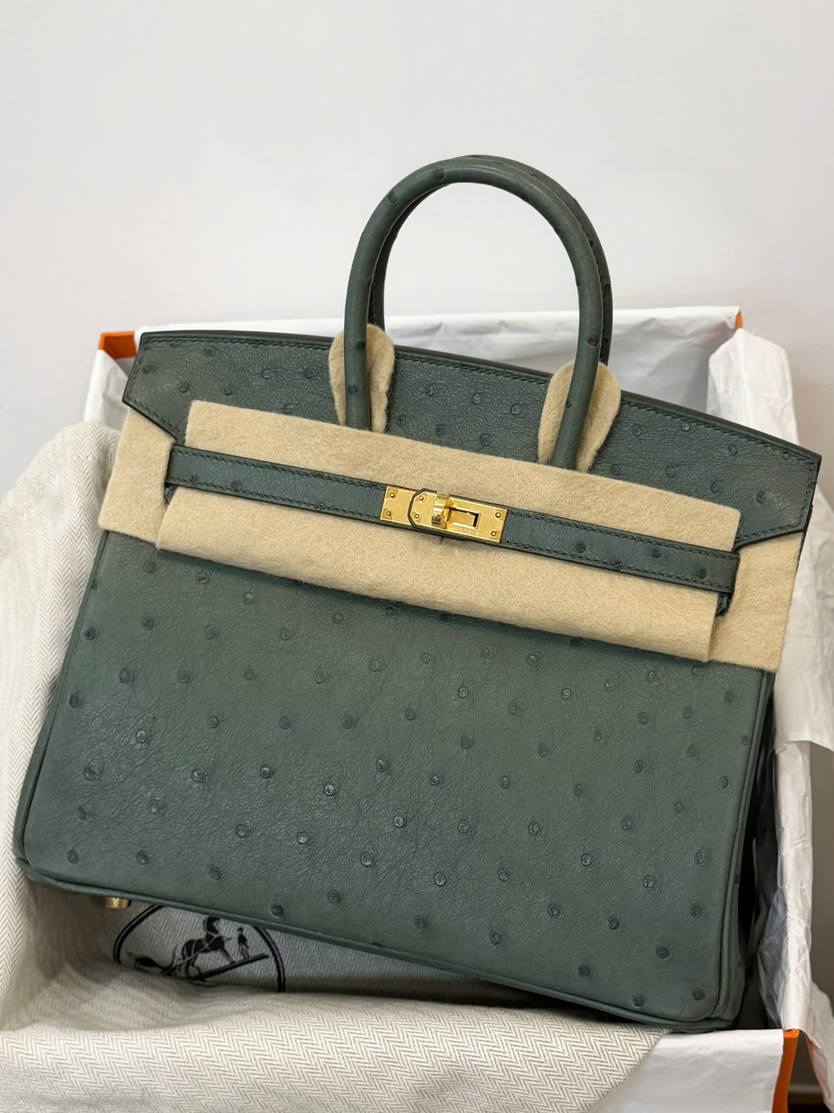 Hermes Birkin 25 Vert Amande Ostrich Gold hardware