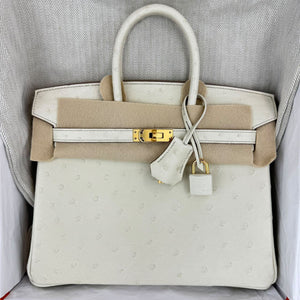 Hermes Birkin 25 Beton Ostrich Gold hardware