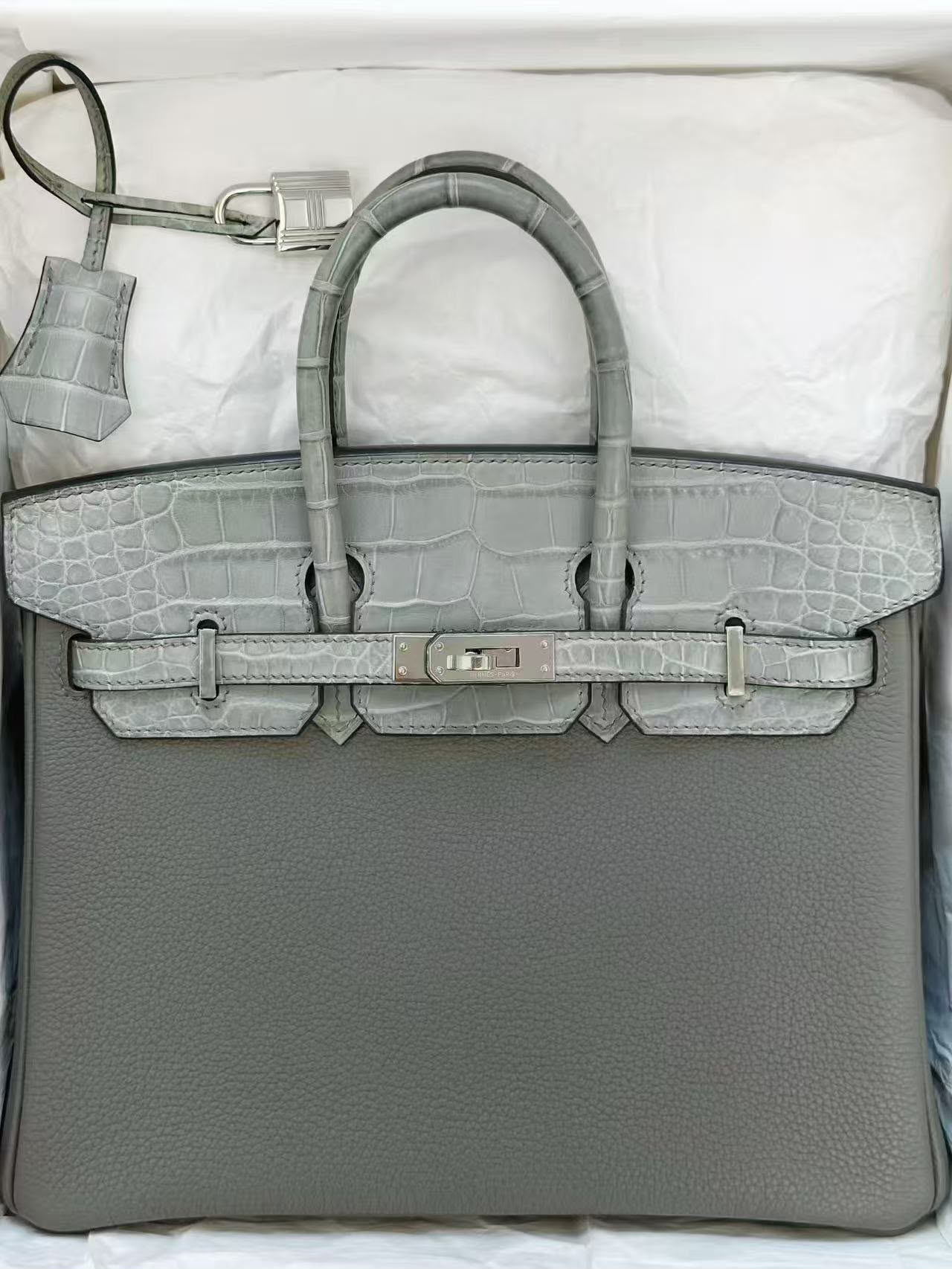 Hermes Birkin 25 touch Gris Ciment matte alligator / Togo Palladium hardware
