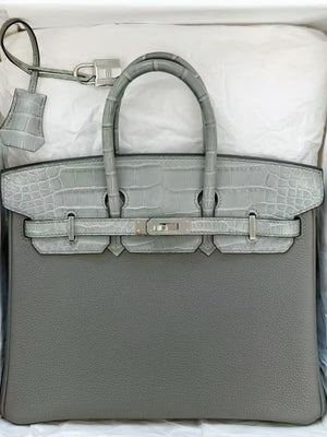 Hermes Birkin 25 touch Gris Ciment matte alligator / Togo Palladium hardware