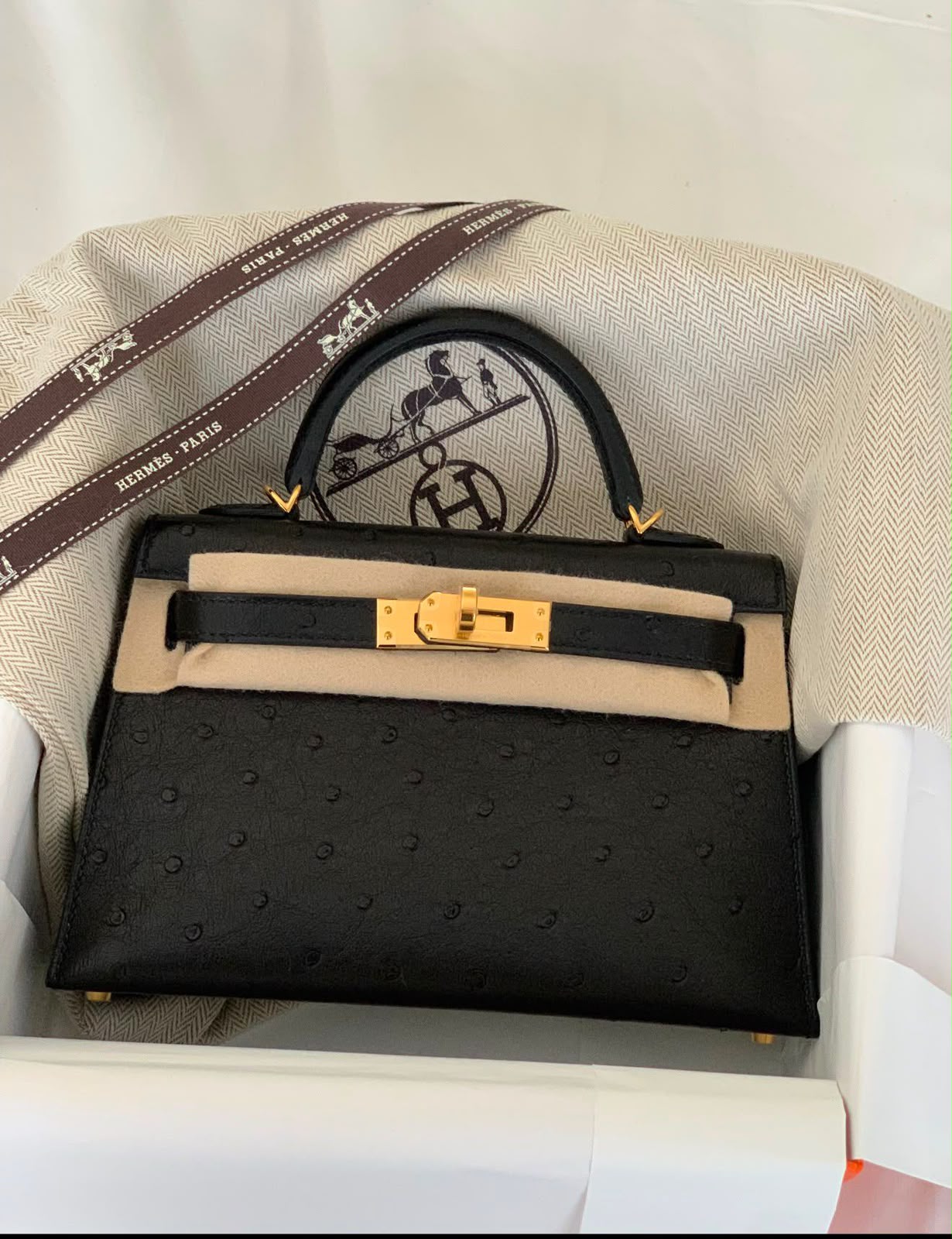 Hermes Mini Kelly 20 HSS Verso Black / Gris Perle Ostrich gold hardware