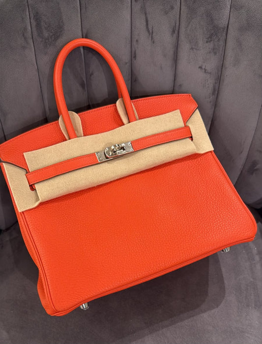 Hermès Birkin 25 Capucine Togo Palladium Hardware