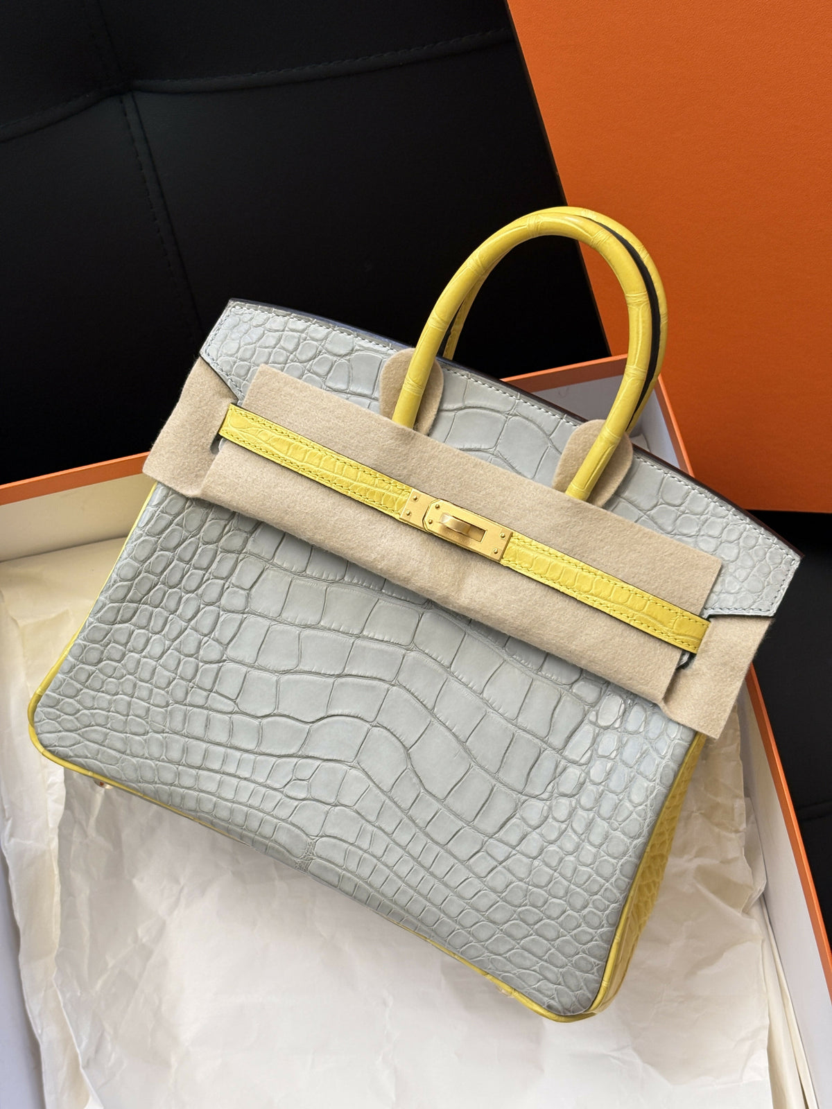 Hermès Birkin 25 Gris Perle & Marigold Matte Crocodile with Brushed Gold Hardware