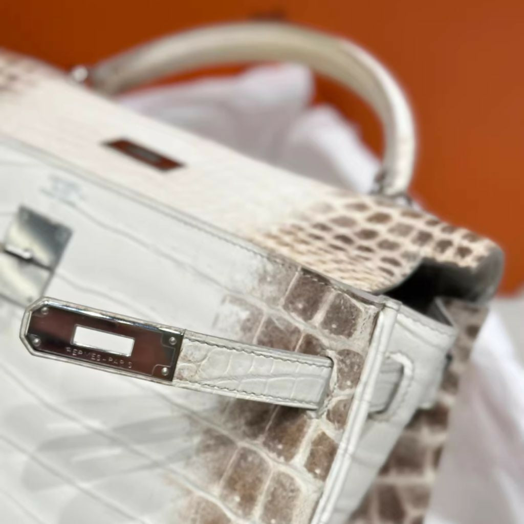 Hermes  nag