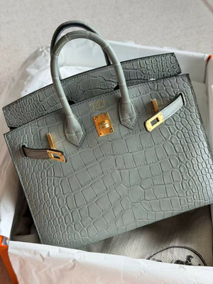 Hermès Birkin 20 Faubourg / Mini Birkin 20 Crystal Grey (0V) Matte Crocodile with Gold Hardware