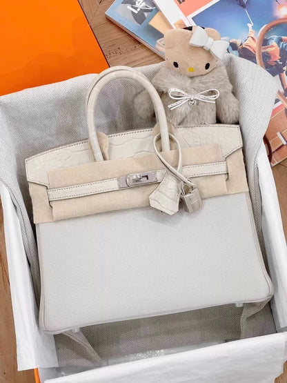 Hermès Birkin 25 Touch Betton Togo Leather & Matte Crocodile Leather Palladium Hardware