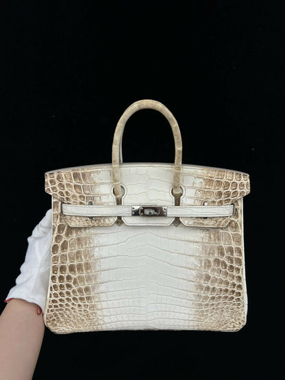 Hermès Birkin 25 Himalaya Niloticus Crocodile Matte with Hardware Square