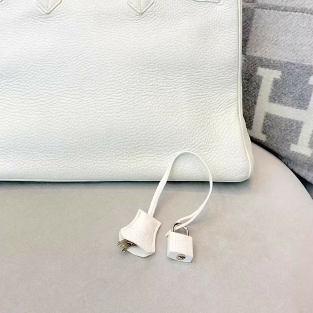 Hermes bag (3)