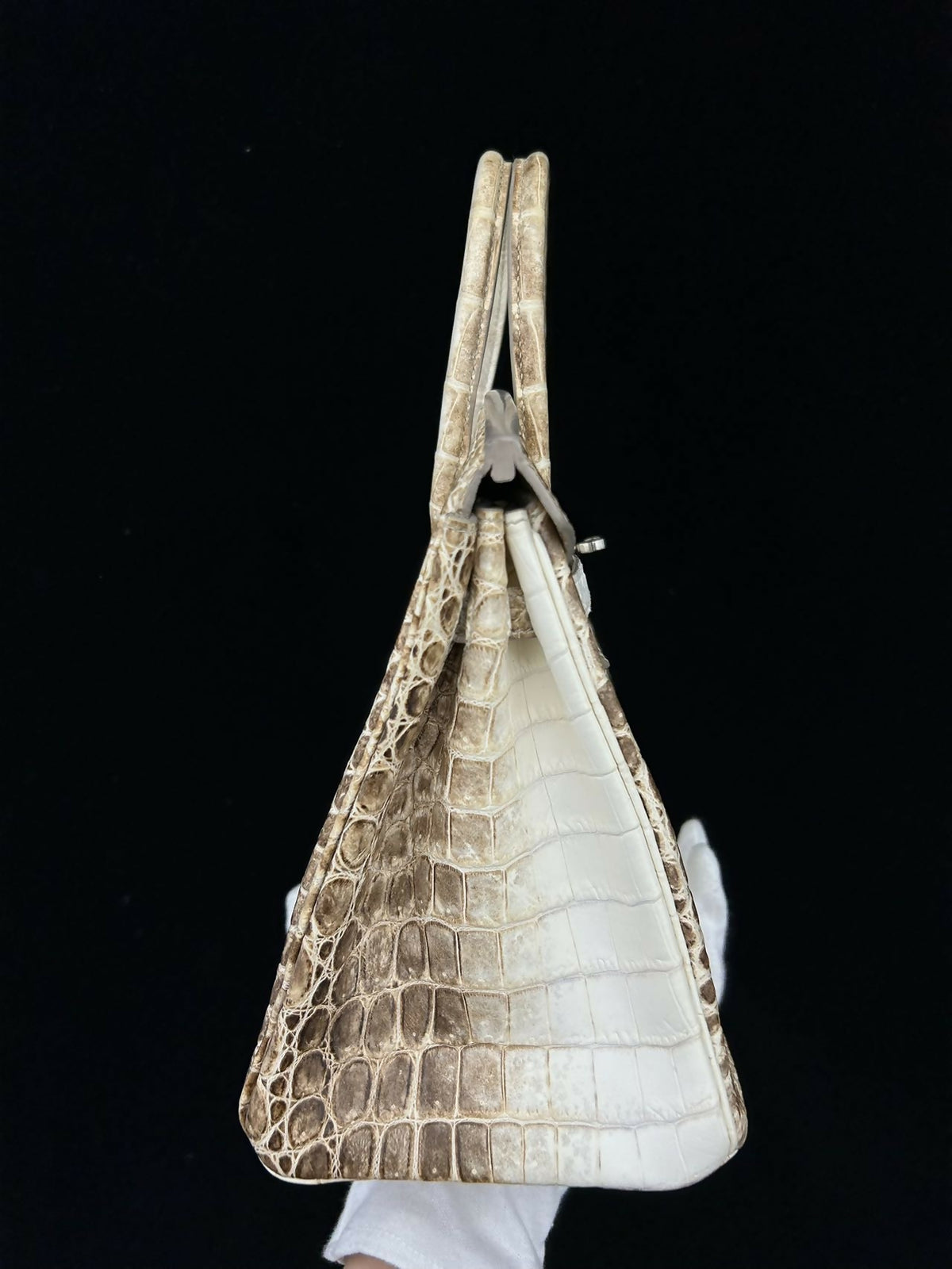 Hermès Birkin 25 Himalaya Niloticus Crocodile Matte with Hardware Square