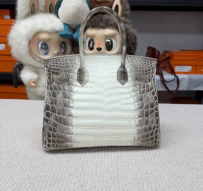 Hermès Birkin 30 Himalaya matte crocodile leather palladium hardware