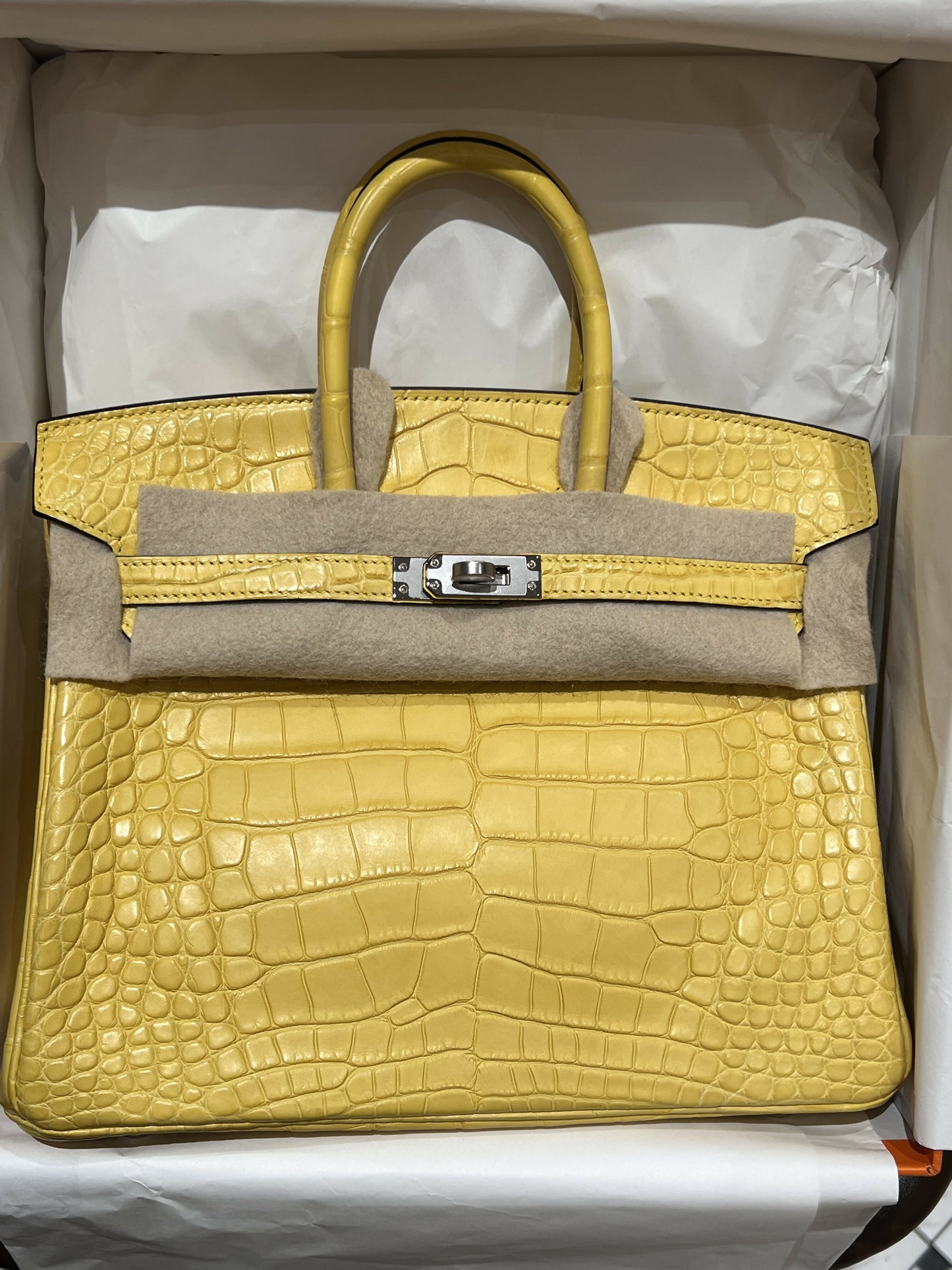 Hermès Birkin 25 Jaune Ambre Matte Crocodile with Palladium Hardware
